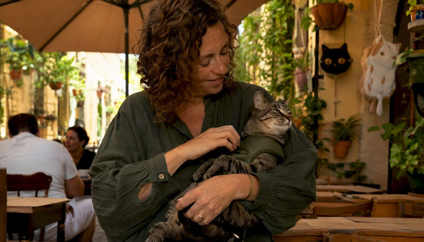 Best Cat Harness: Top Picks and Buying Guide 2026