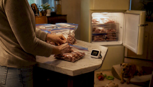 Raw Dog Food Storage: Safe, Simple Guide for Pet Owners