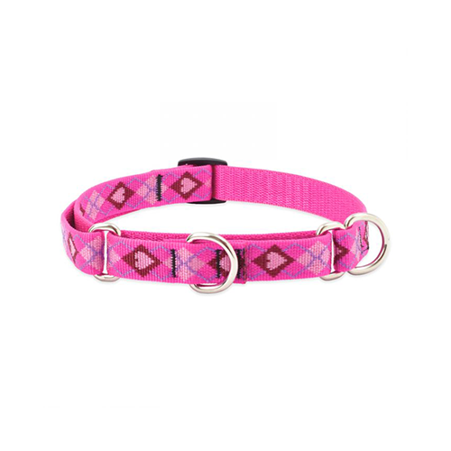 Lupine Originals Collection Puppy Love Combo Collar 1" x 19" to 27"