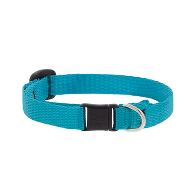 Lupine Basics Cat Safety Collar Aqua 1/2" x 8" to 12"