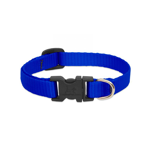 Lupine Basics Adjustable Collar for Dogs Blue 1" x 16" to 28"