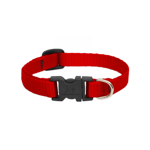 Lupine Basics Adjustable Collar for Dogs Red 3/4" x 13" to 22"