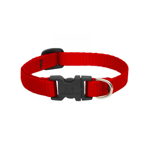 Lupine Basics Adjustable Collar for Dogs Red 1" x 16" to 28"