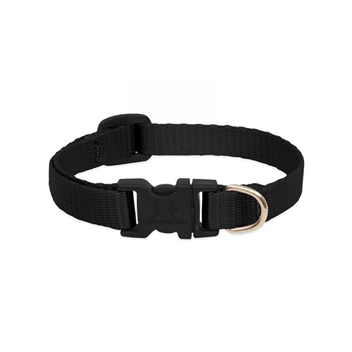 Lupine Basics Adjustable Collar for Dogs Black 3/4" x 9" to 14"