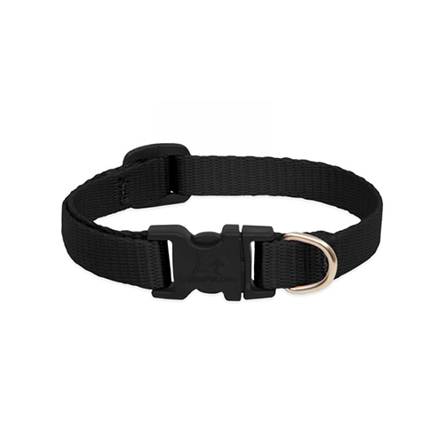 Lupine Basics Adjustable Collar for Dogs Black 1/2" x 8" to 12"