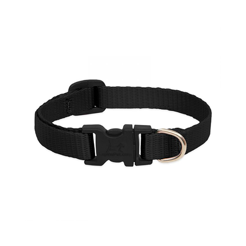 Lupine Basics Adjustable Collar for Dogs Black 1/2" x 10" to 16"
