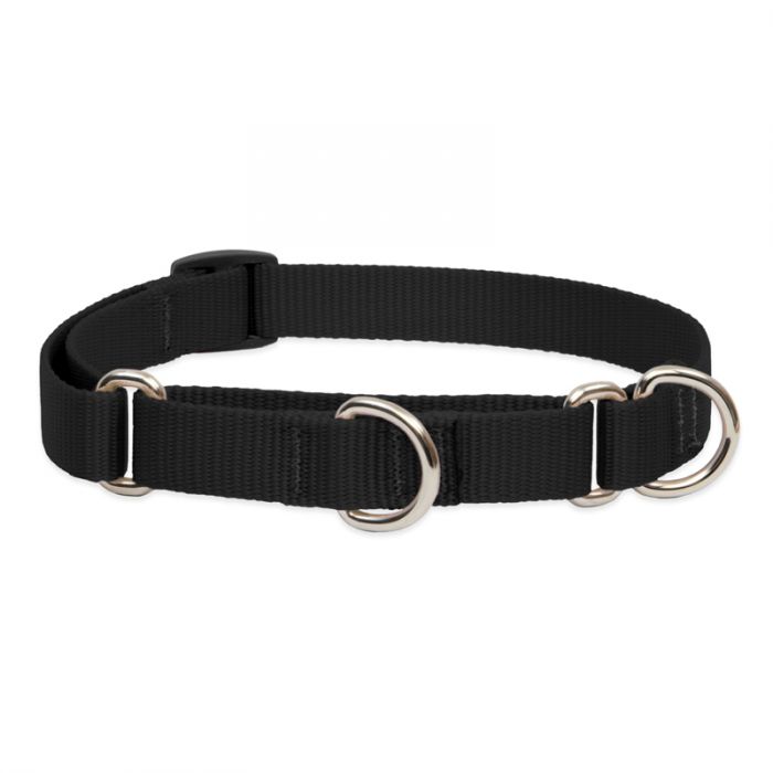 Lupine Basics Adjustable Collar for Dogs Black 1" x 12" to 20"