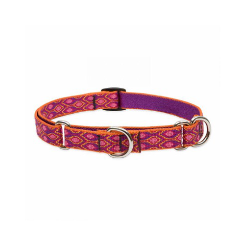Lupine Originals Collection Alpen Glow Combo Collar 1" x 19" to 27"