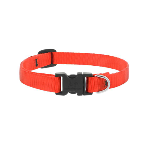 Lupine Basics Adjustable Collar for Dogs Blaze Orange 1/2" x 10" to 16"