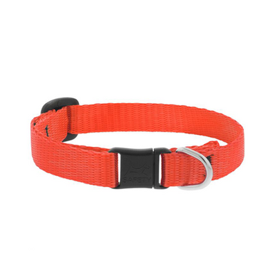 Lupine Basics Cat Safety Collar Blaze Orange 1/2" x 8" to 12"