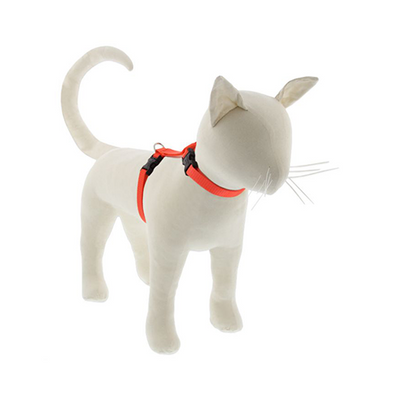 Lupine Basics H-Style Adjustable Harness for Cats 1/2" x 12" to 20" Blaze Orange