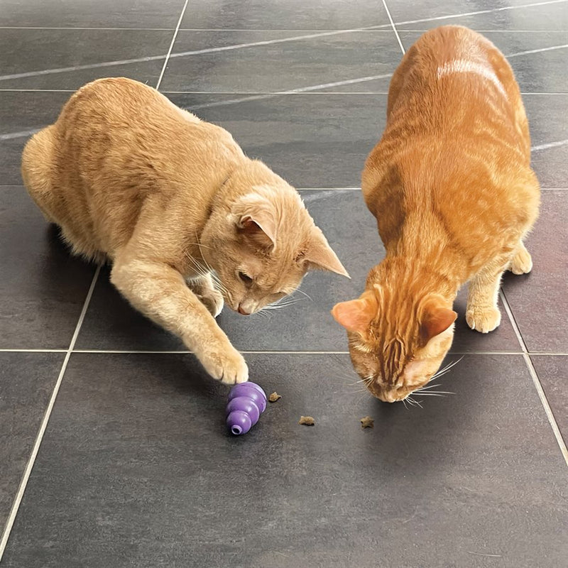 KONG Cat Nibbies Whitefish Treats 2oz