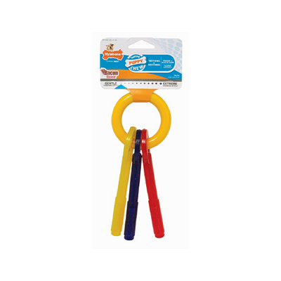 Nylabone Puppy Teething Keys Chew Toy Small
