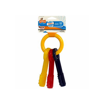 Nylabone Puppy Teething Keys Chew Toy Large