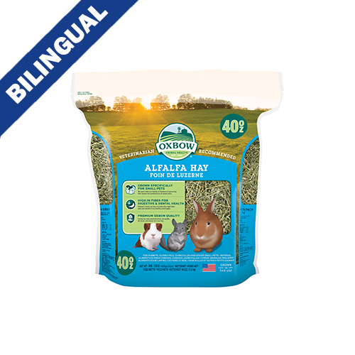 Oxbow Animal Health Alfalfa Hay 40 oz