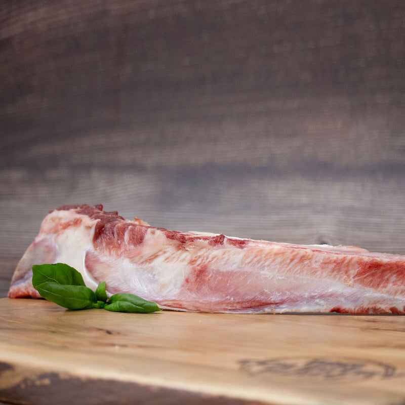 Flat Rib Bone - 1 pc