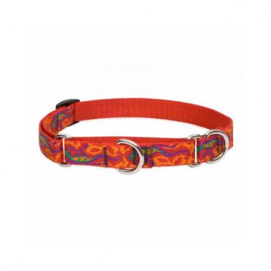 LUPN \ Go Go Gecko \ Combo Collar 1" x 19-27"
